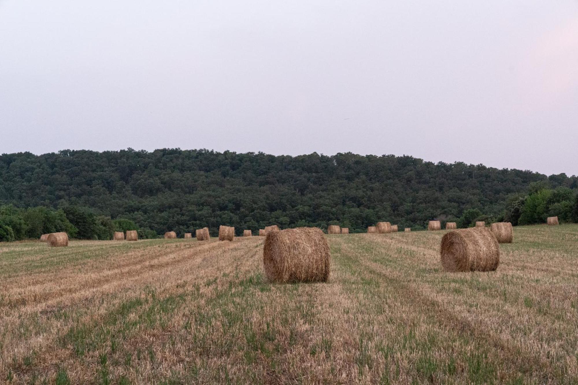 Tenuta Di Paganico - I Roggeti المظهر الخارجي الصورة