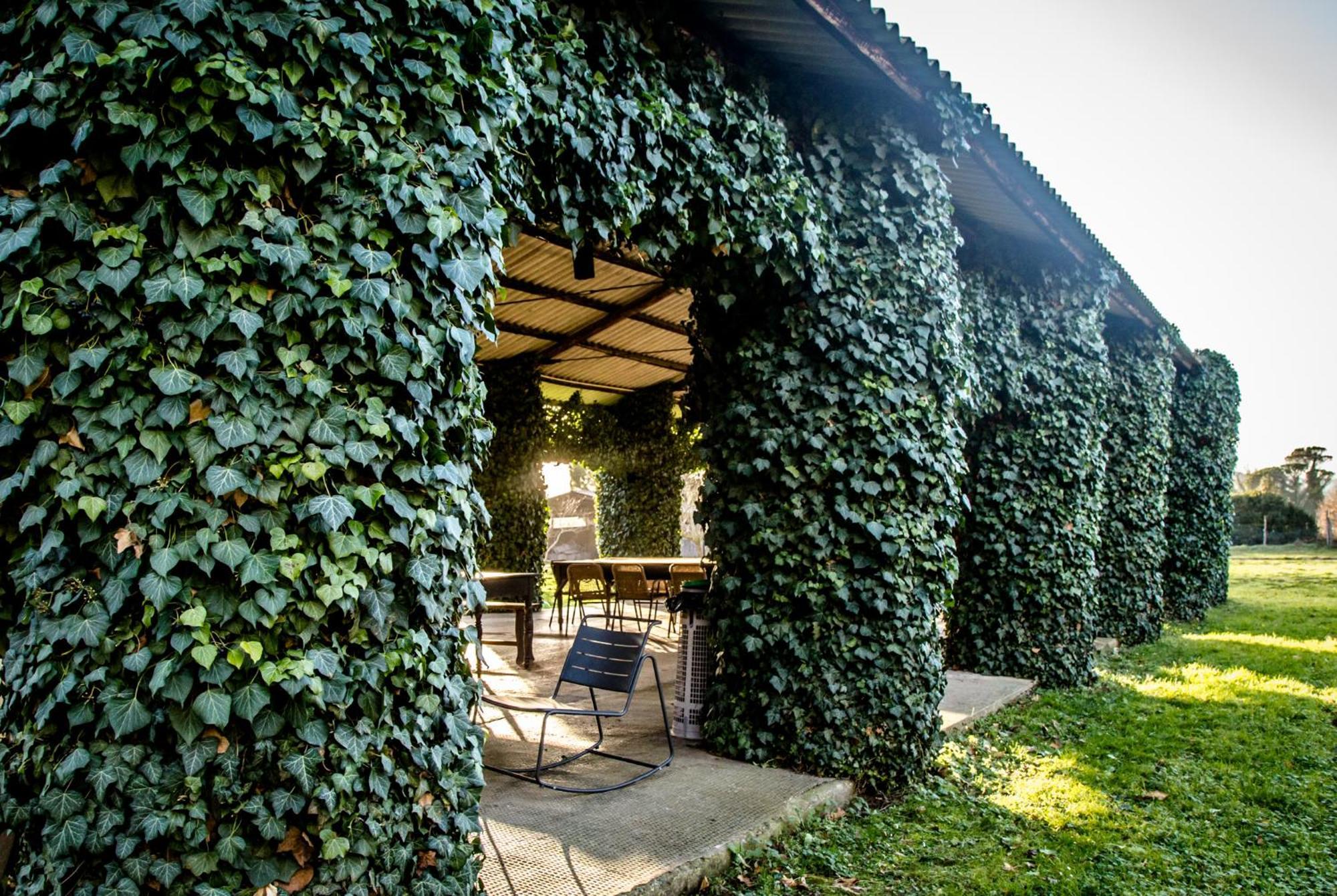 Tenuta Di Paganico - I Roggeti المظهر الخارجي الصورة